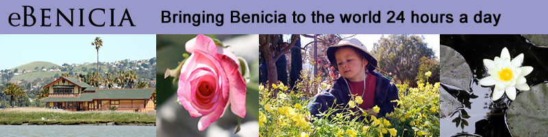 Benicia Business Directory image